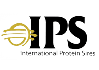 International Protein Sires
